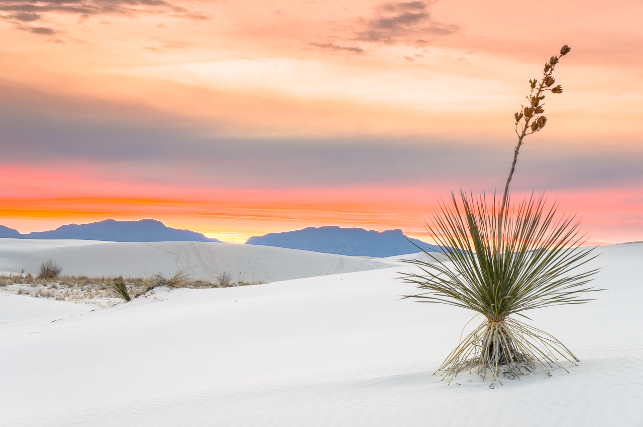 1280x851 White Sands National Monument, New Mexico. Picture and Prints