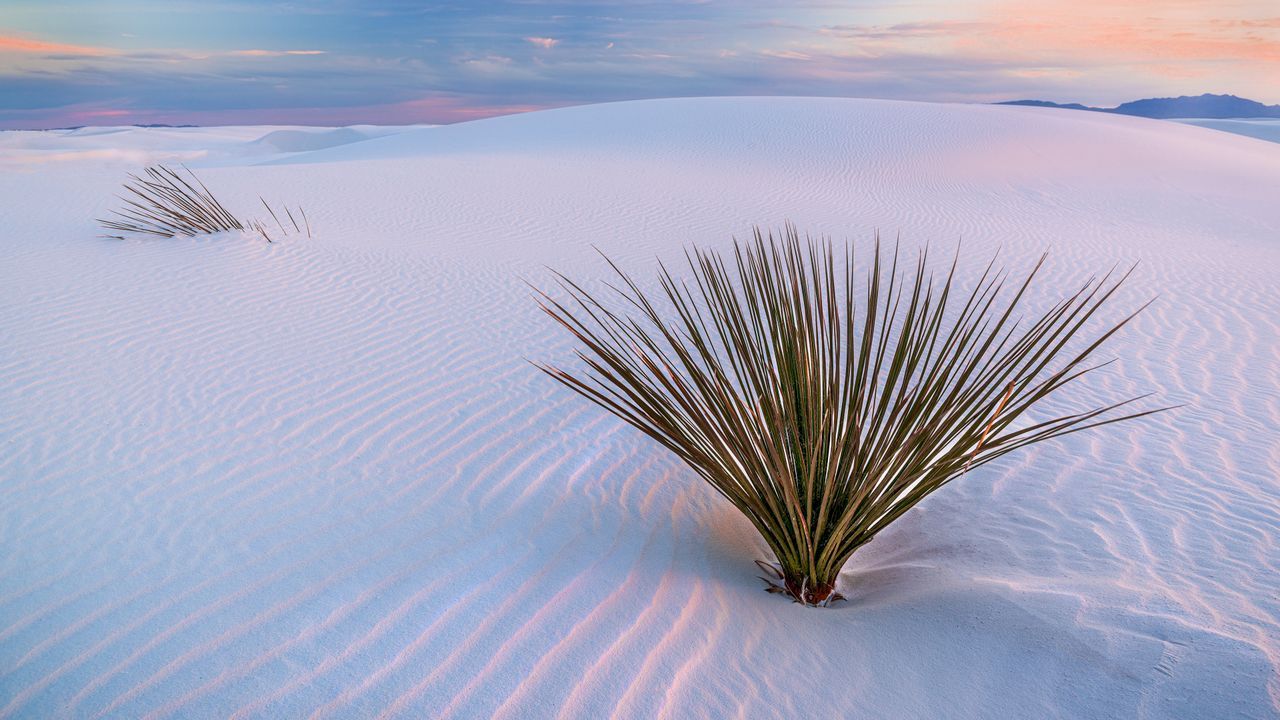 1280x720 White Sands National Park, New Mexico Gallery · Peapix
