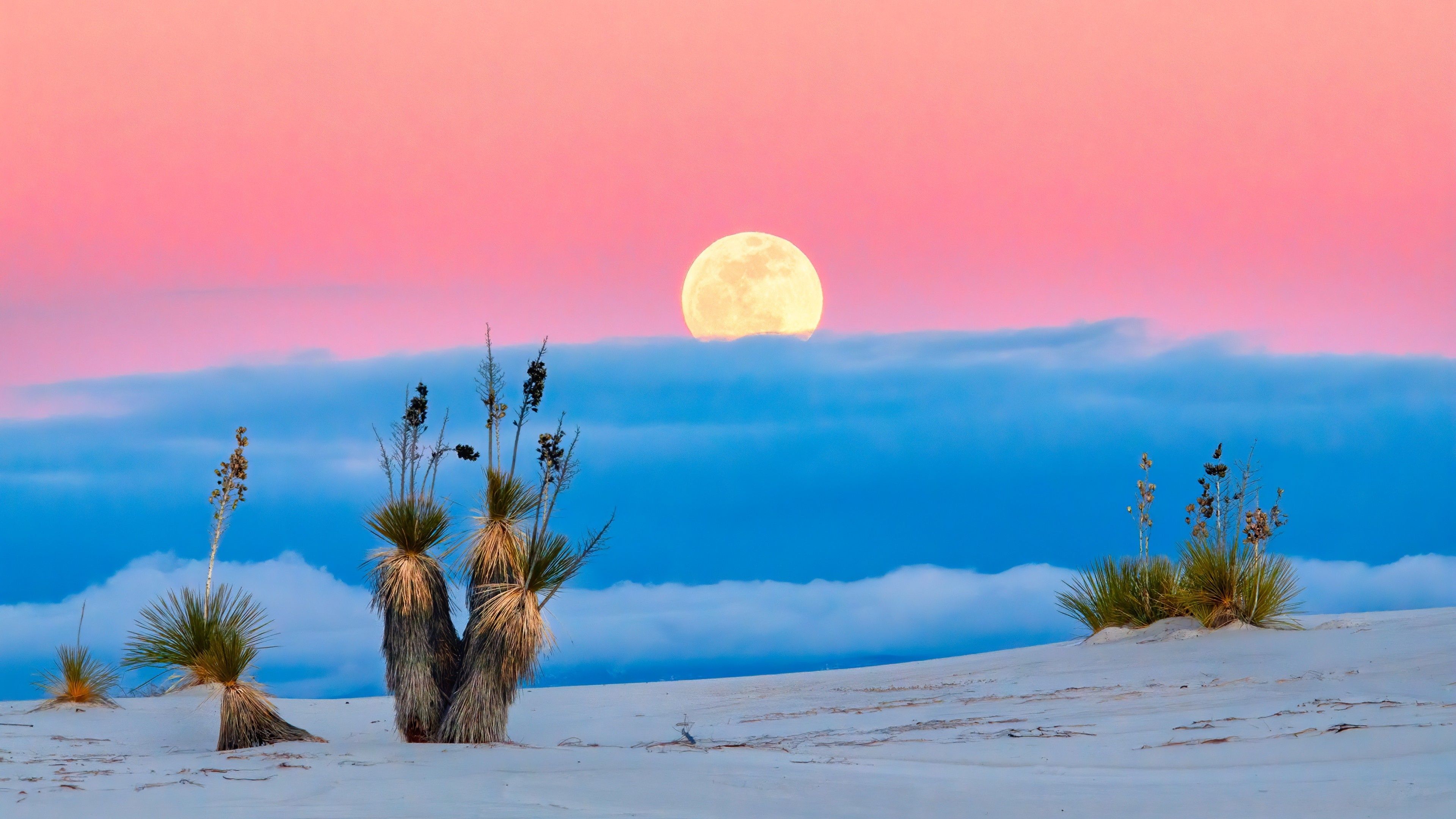 3840x2160 White Sands National Park Wallpaper