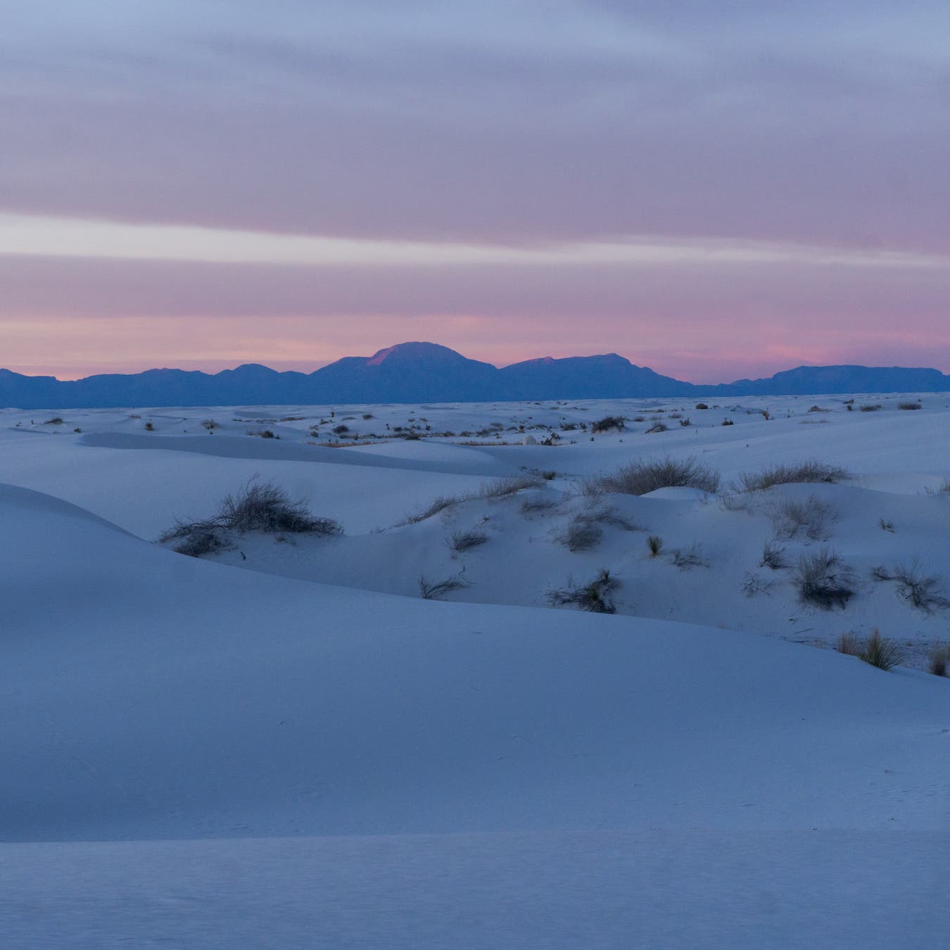 1350x1350 Camp in the Largest Gypsum Dune Field in the World at White Sands