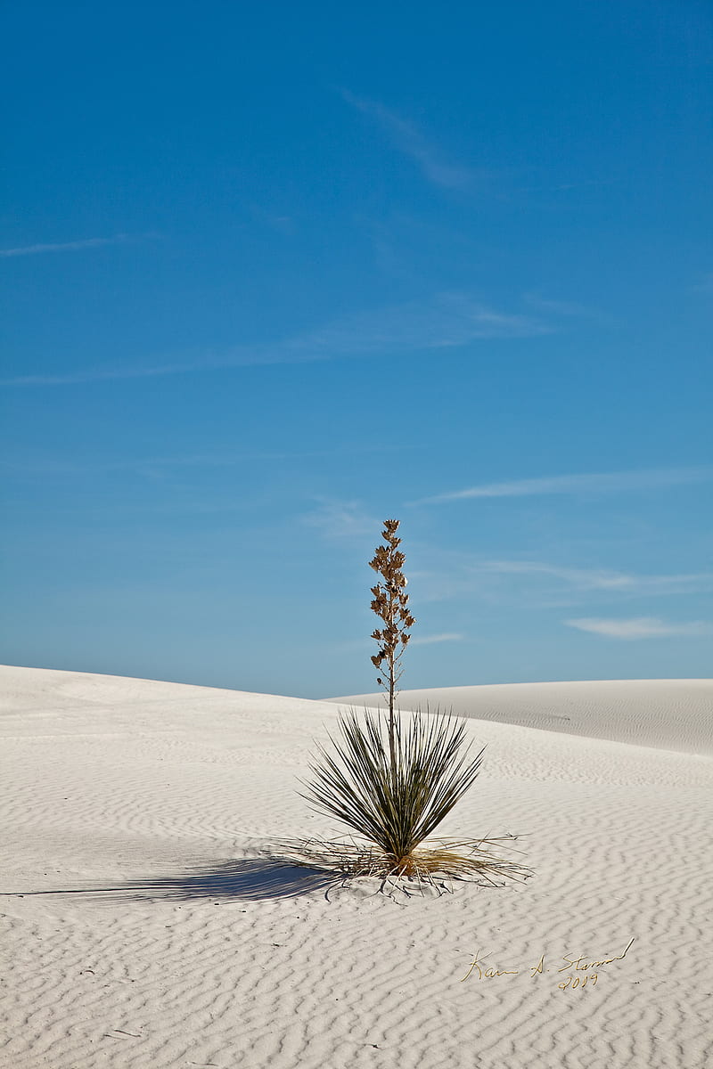 800x1200 BSI White Sands beautifullyscene, blue, desert, landscape, national park, HD phone wallpaper