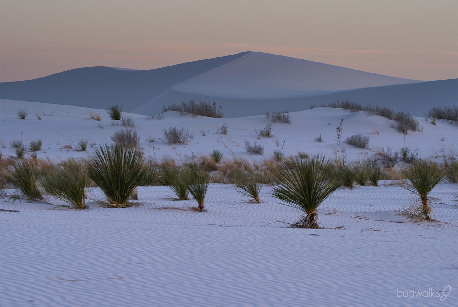 1500x1007 Chasing the Light at White Sands National Park by Curtis W. Smith