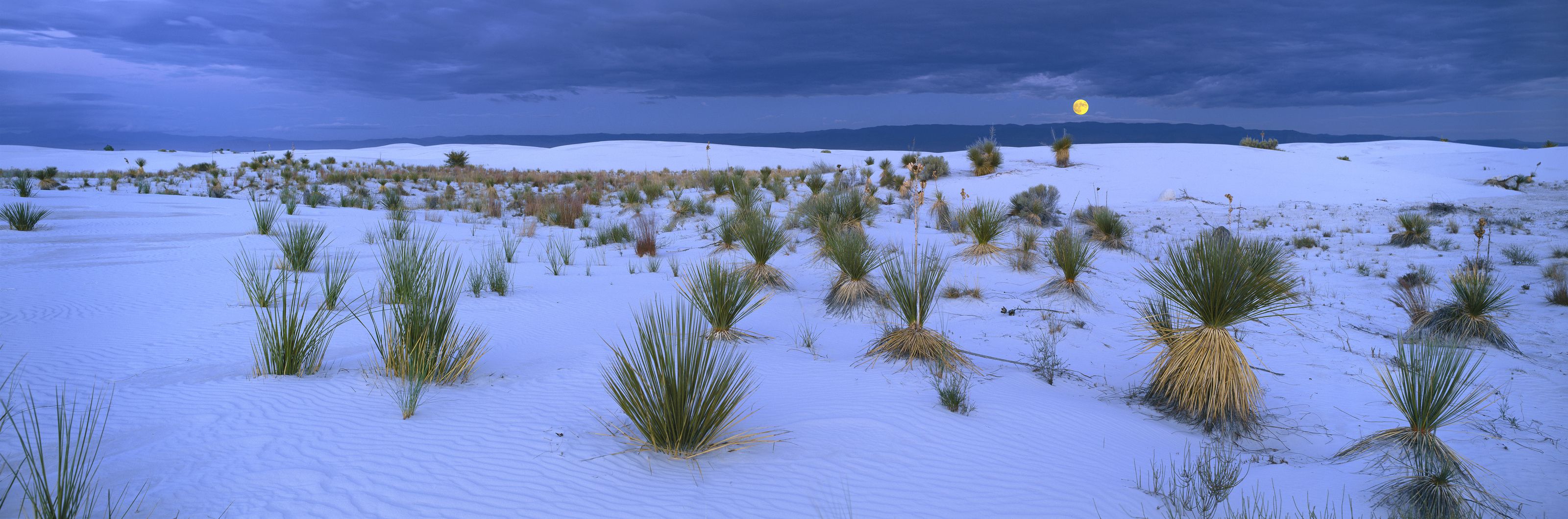 3200x1059 Moonrise, White Sands National Monument, NM Mural Wallpaper Your Way