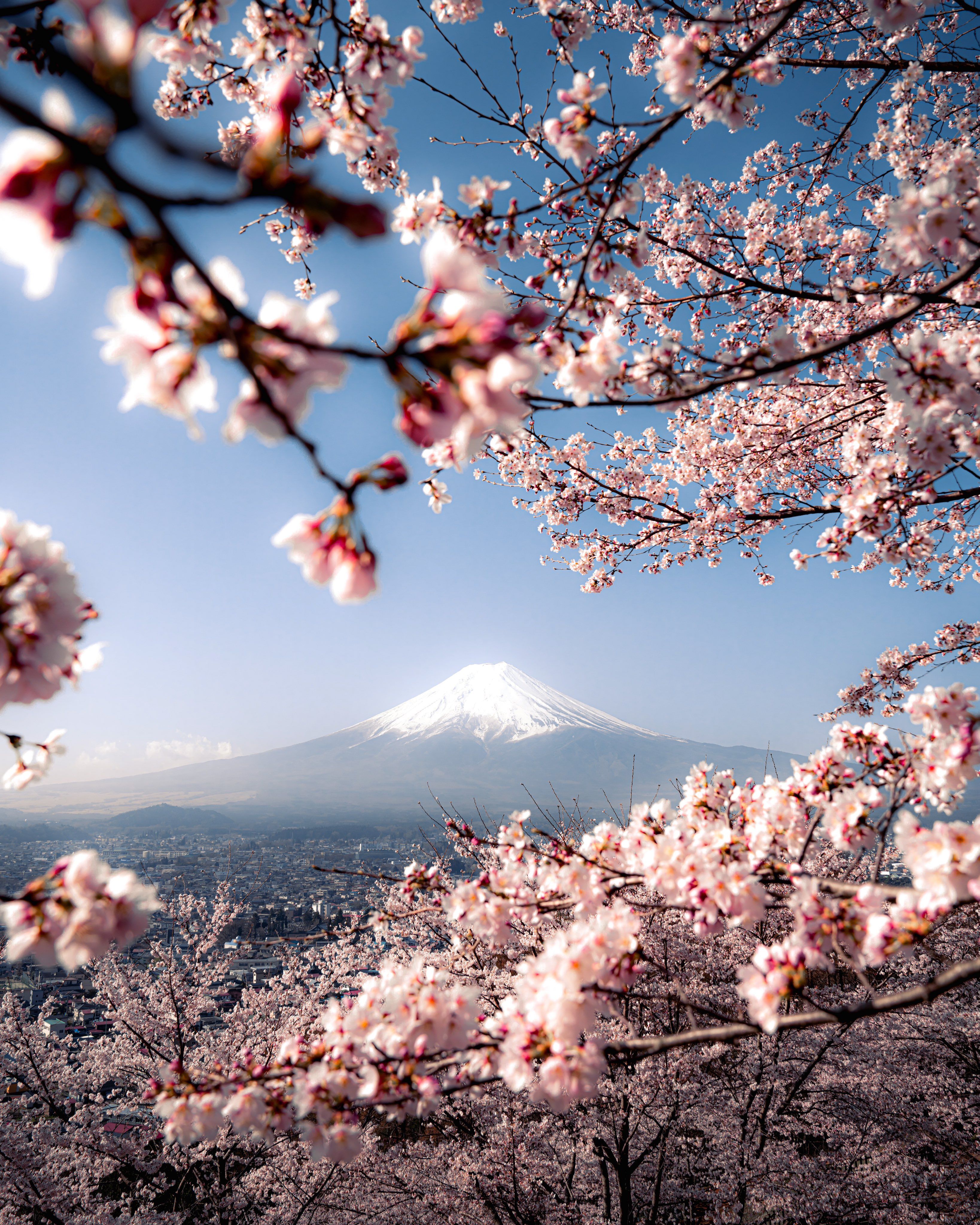 3276x4096 Four seasons in Japan wallpaper for iPhone