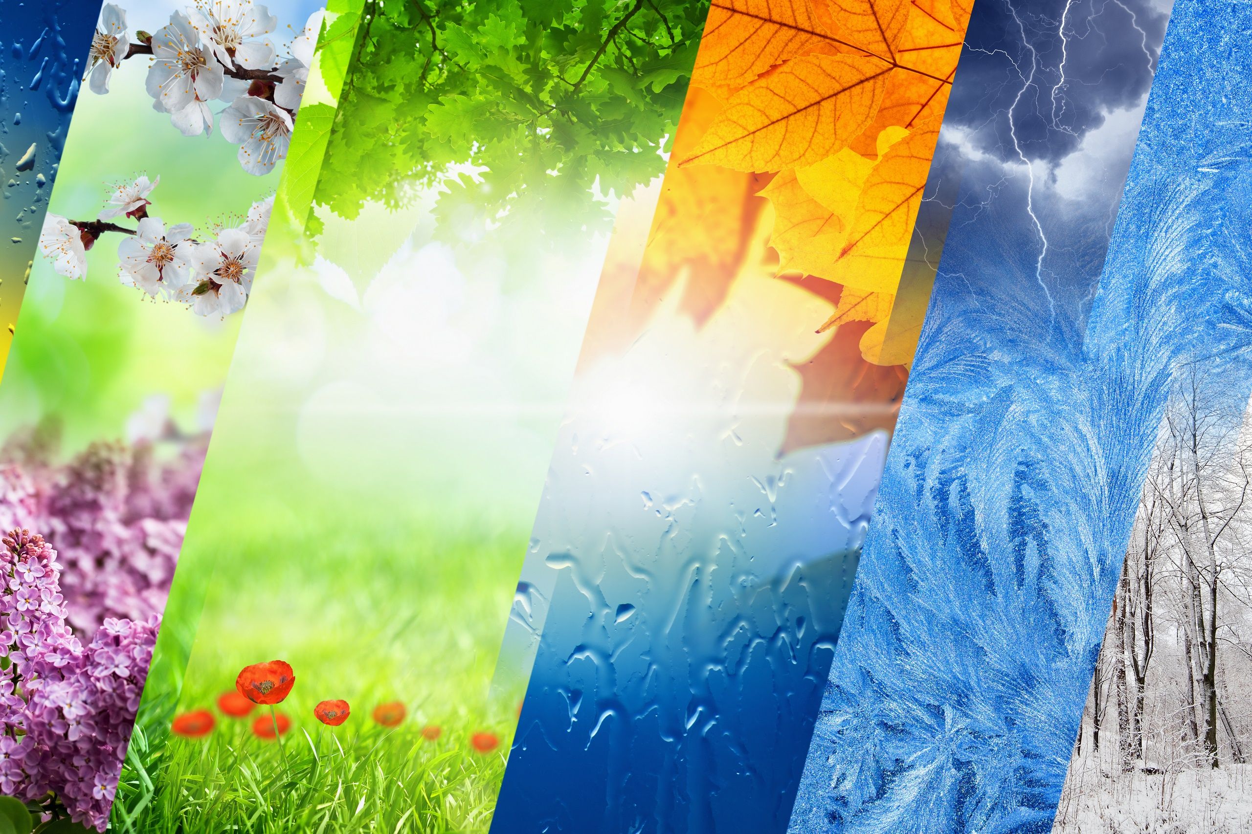 2560x1706 Download Nature Season HD Wallpaperx1706