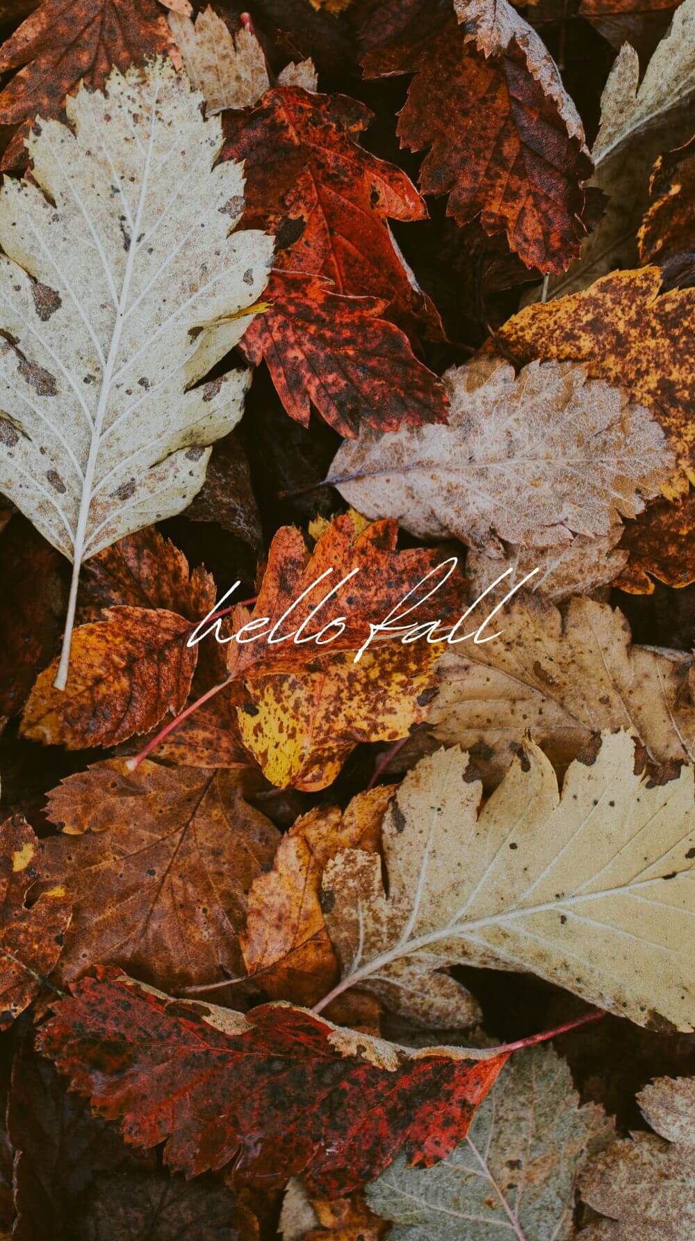 1000x1784 Beautiful (and Fun) Fall Phone Wallpaper to Start the Cozy Season