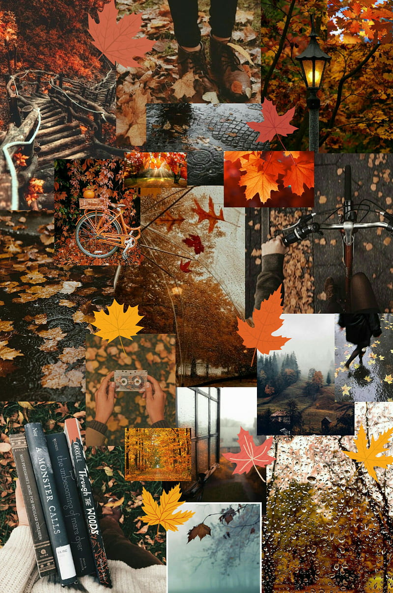 800x1207 HD autumn aesthetic wallpaper