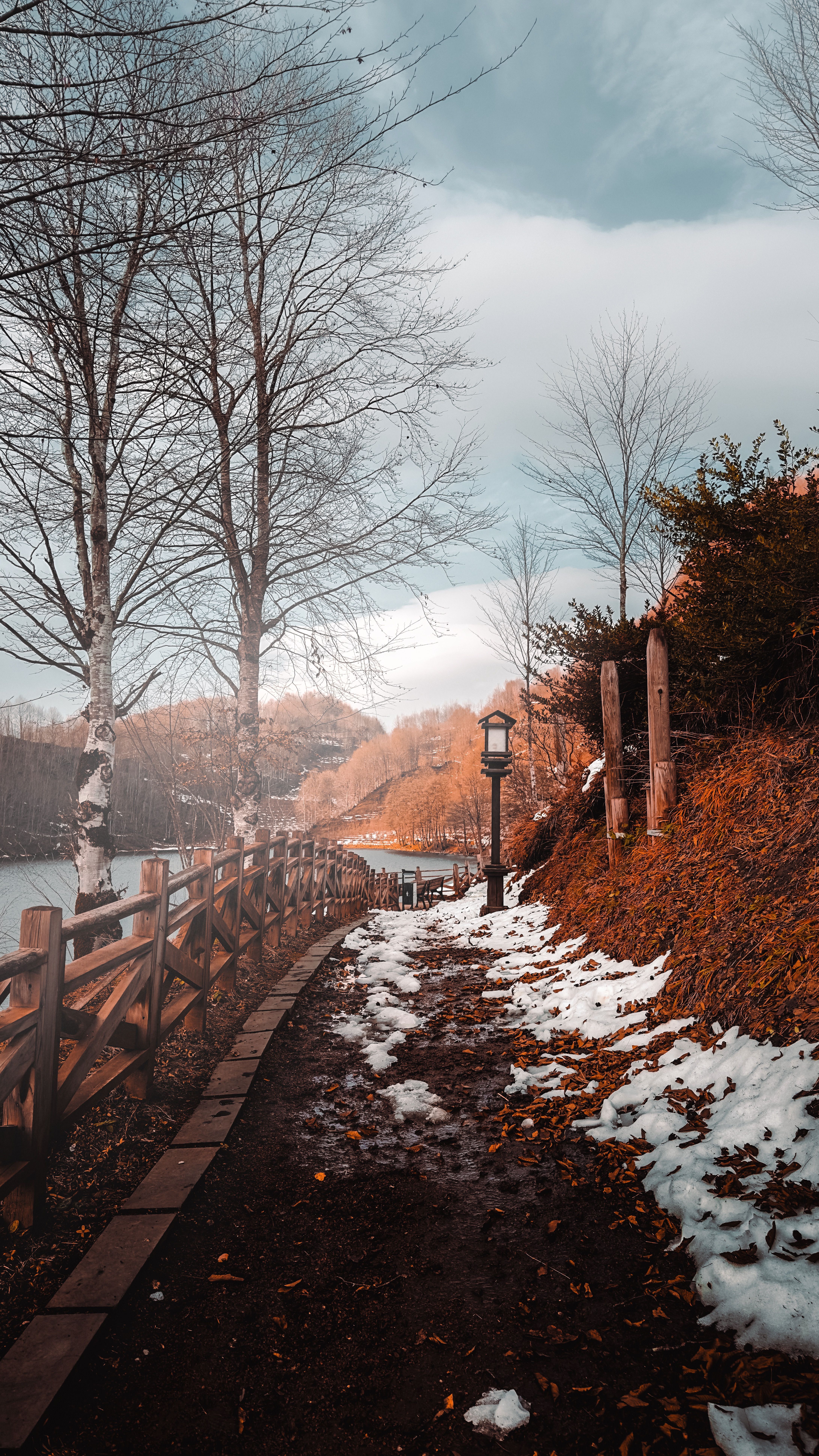 4365x7760 Season Photo, Download The BEST Free Season & HD Image