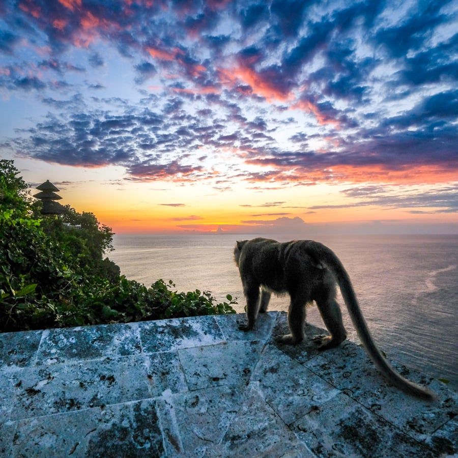 900x900 Uluwatu Temple In Bali: Famous Cliff Sunset Spot