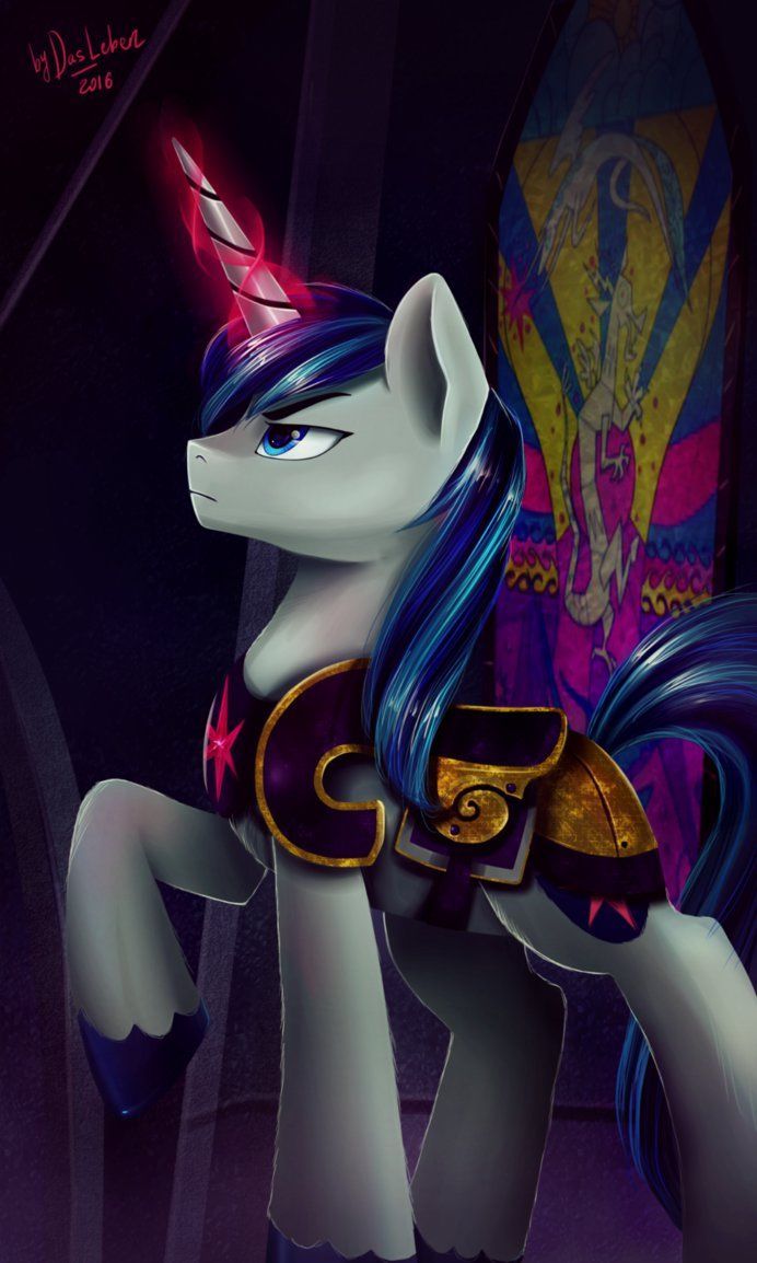 692x1154 Portrait Of Shining Armor By Das Leben