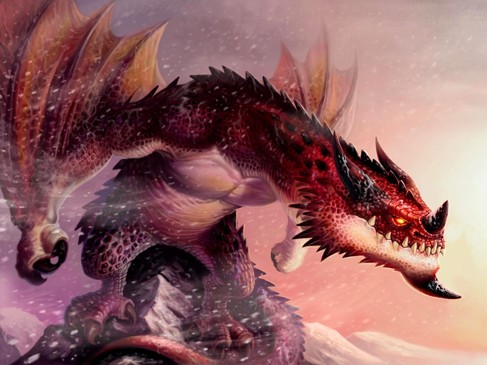 1600x1200 Fiery Wyvern Dragon HD Wallpaperx1200