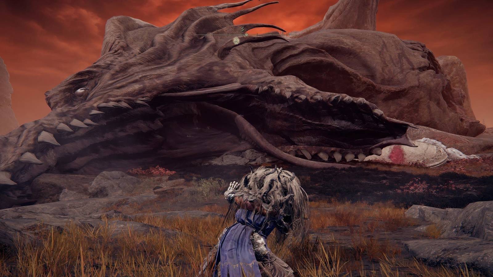 1600x900 Shadow of the Erdtree Now Contains Elden Ring And FromSoft's Biggest Ever Dragon