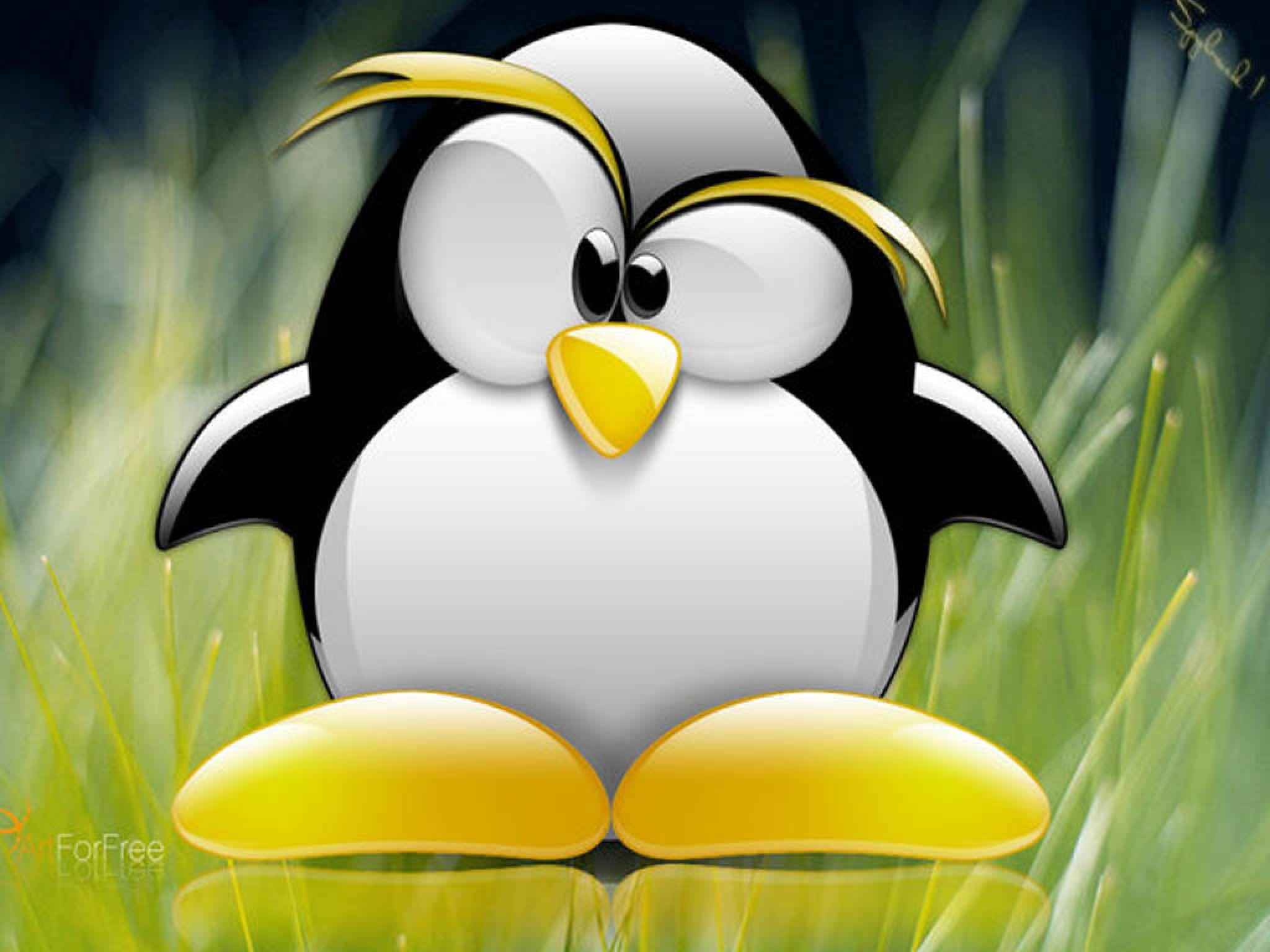 2048x1536 Animated penguin wallpaper