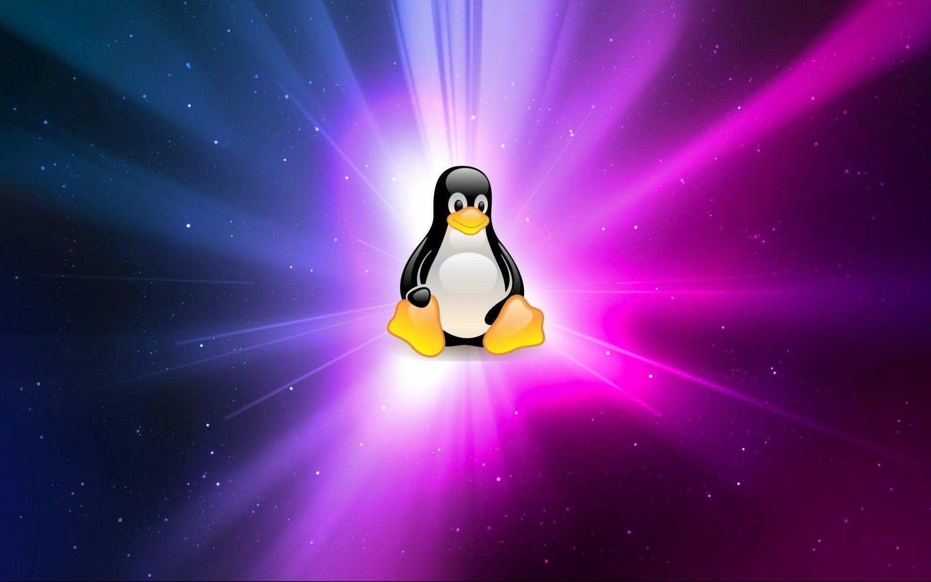 1920x1200 Linux Penguin Wallpaper