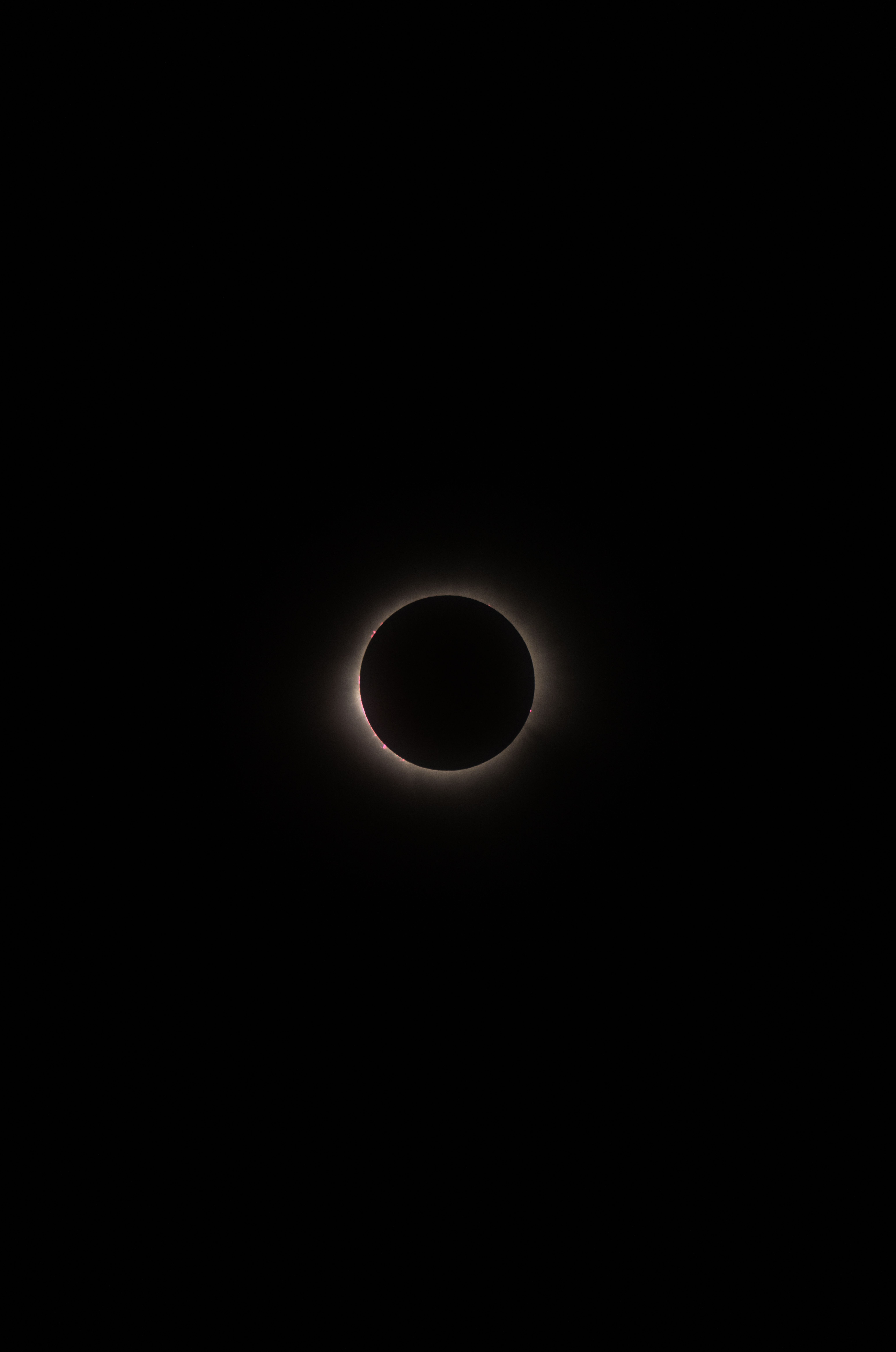 6192x9340 Solar Eclipse Photo, Download The BEST Free Solar Eclipse & HD Image