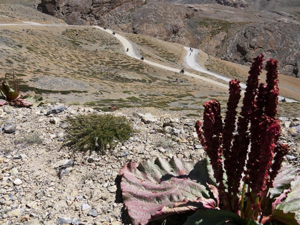 1024x768 The Nakee La And Lachalunga La Passes. Bridget's Bike