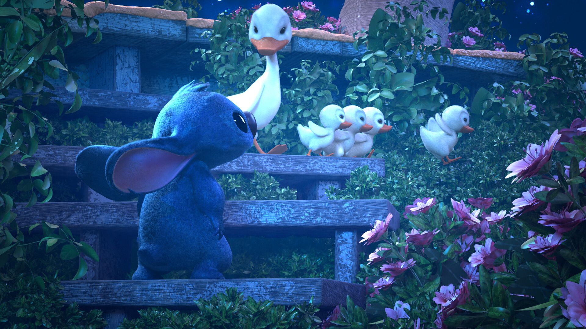1920x1080 Kyle Tang & the Ugly Ducklings