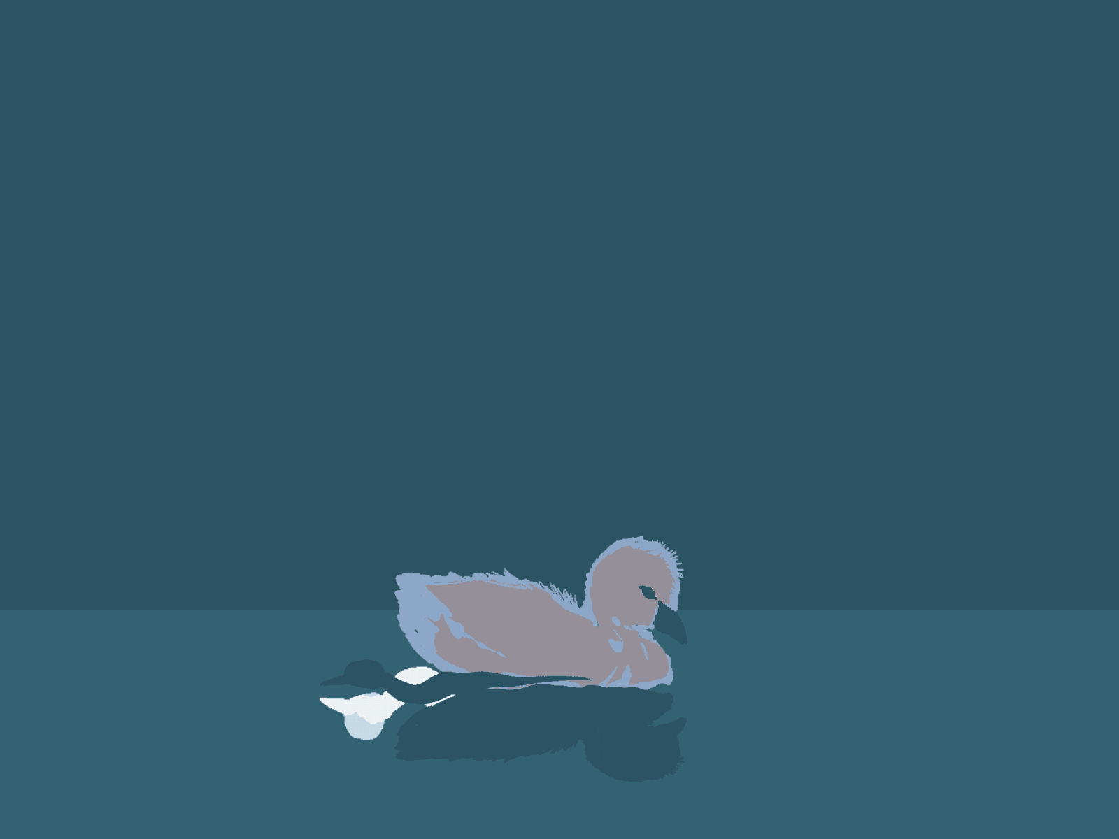 1600x1200 The Ugly Duckling