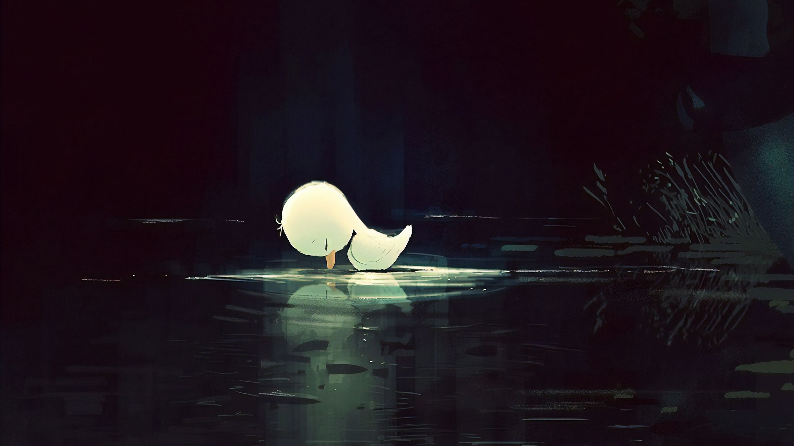 2560x1440 Lost Again Bird Wallpaper, HD Artist Wallpaper, 4k Wallpaper, Image, Background, Photos and Picture