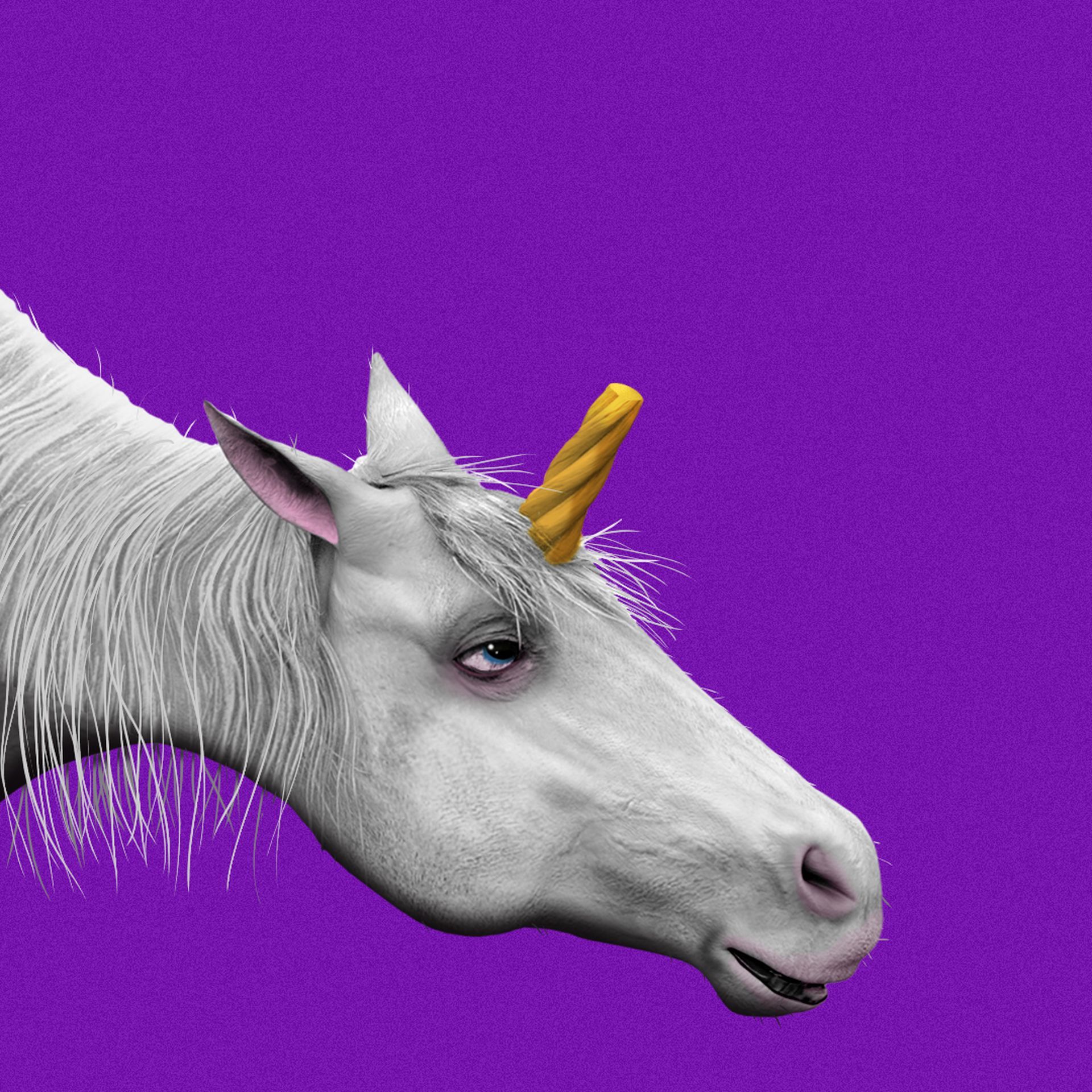 1920x1920 Unicorn startups are losing their horns