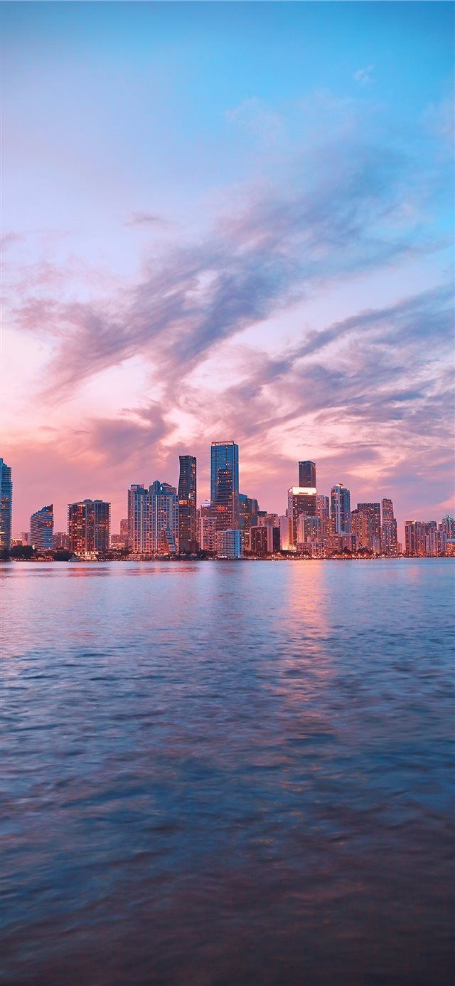 640x1385 Best Miami vice iPhone X HD Wallpaper