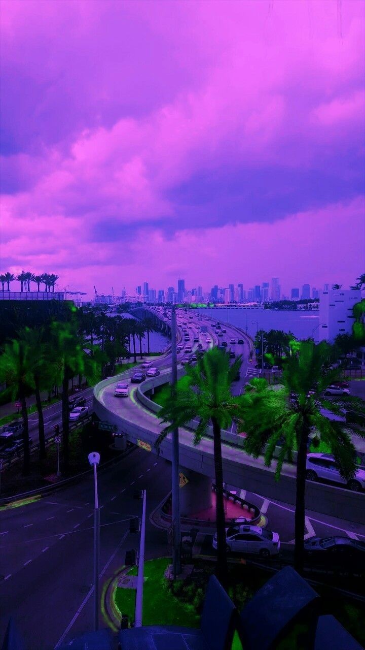 720x1280 Miami vice vibee. Credit @gracielafdez