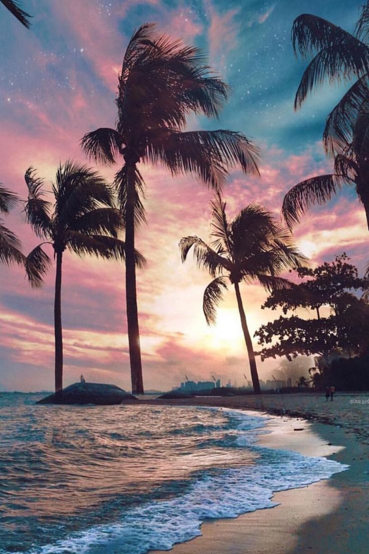 736x1104 Miami Aesthetic: Palm Trees at Sunset. Wallpaper designs for walls, Canary islands spain, Miami city