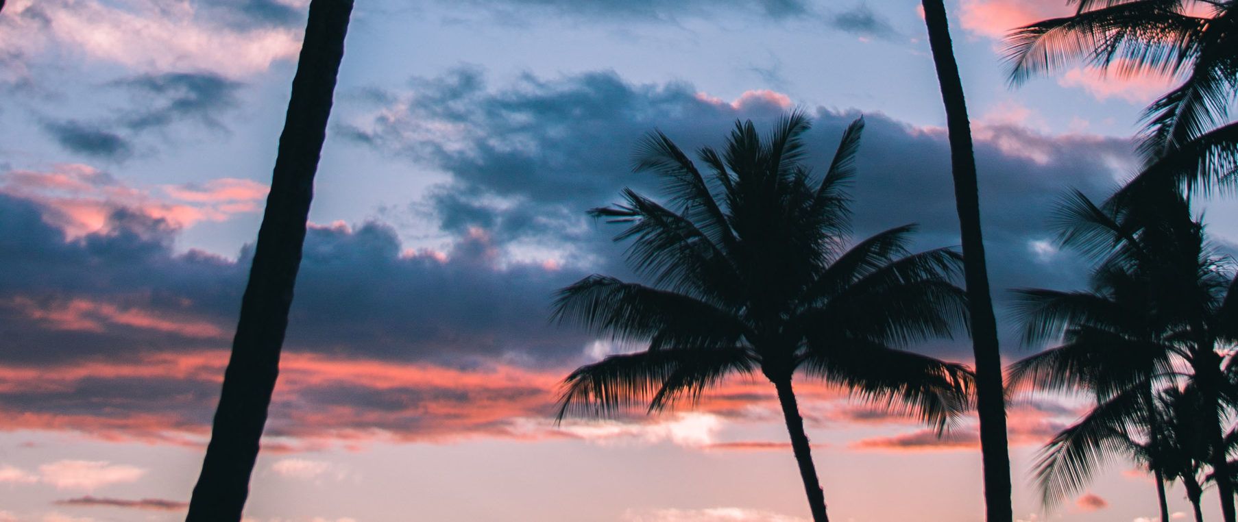 1806x762 Miami Vice (2560×1080 Wallpaper)x1080 Wallpaper