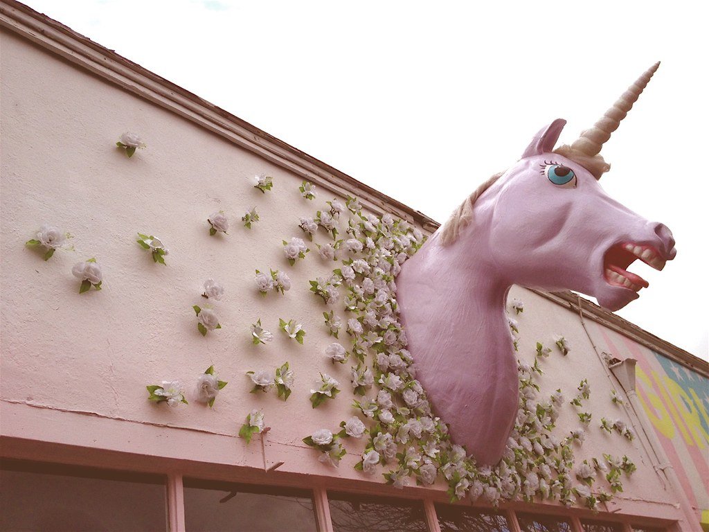 1024x768 Angry Unicorn. Mary Austin & Scott