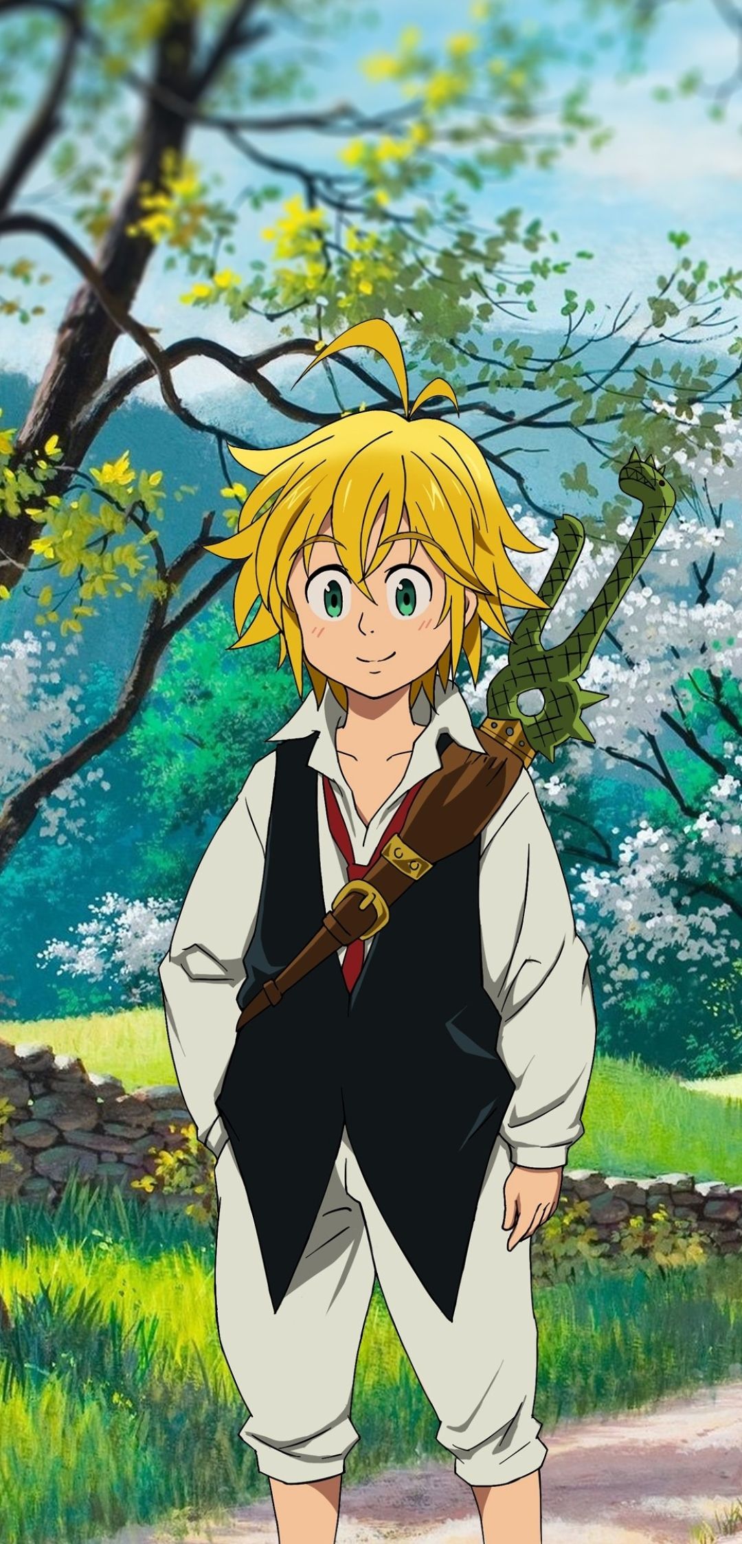 1080x2246 Phone wallpaper: Meliodas (The Seven Deadly Sins), Anime, The Seven Deadly Sins 1339499