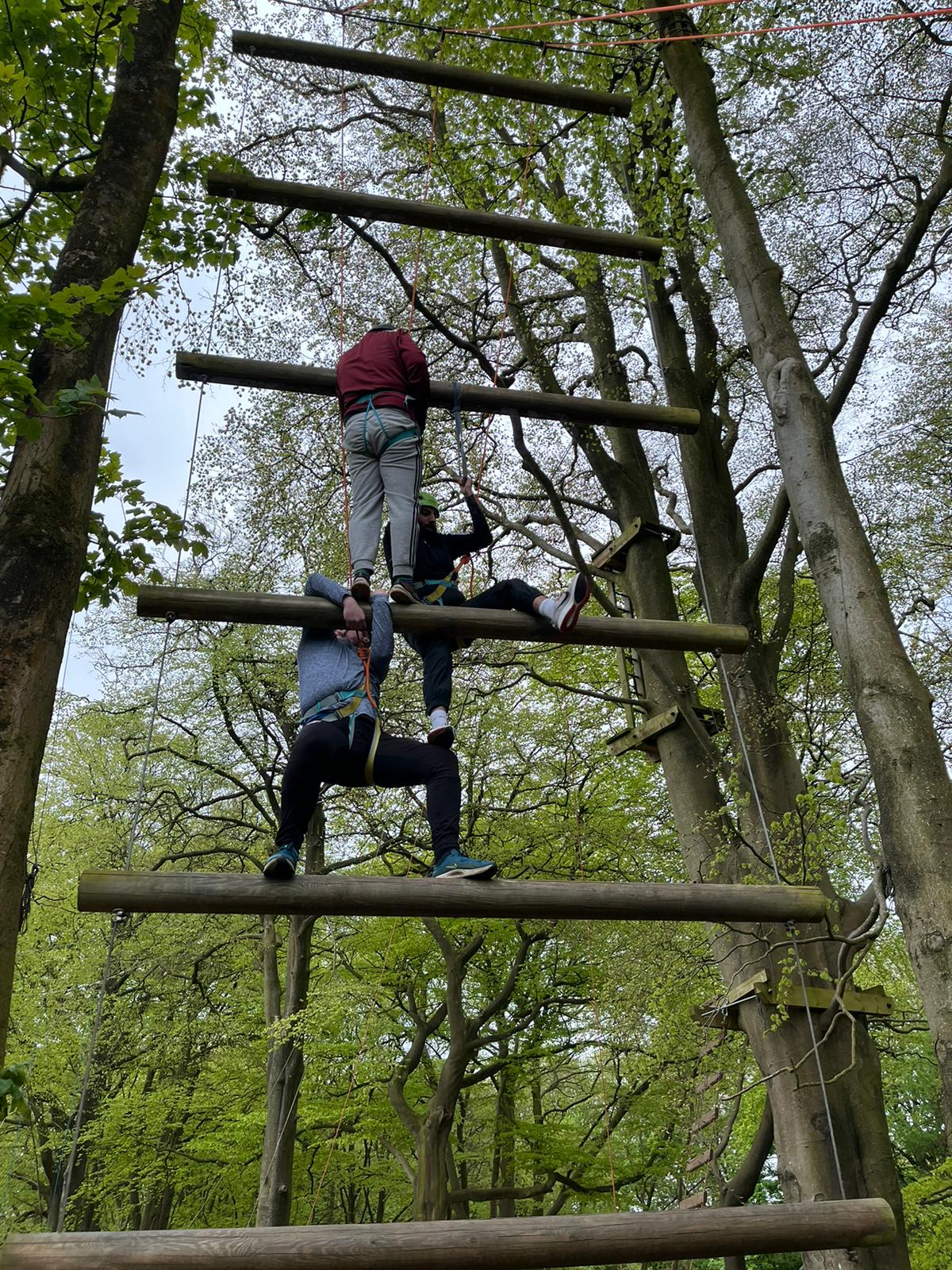 1200x1600 Jacob's Ladder
