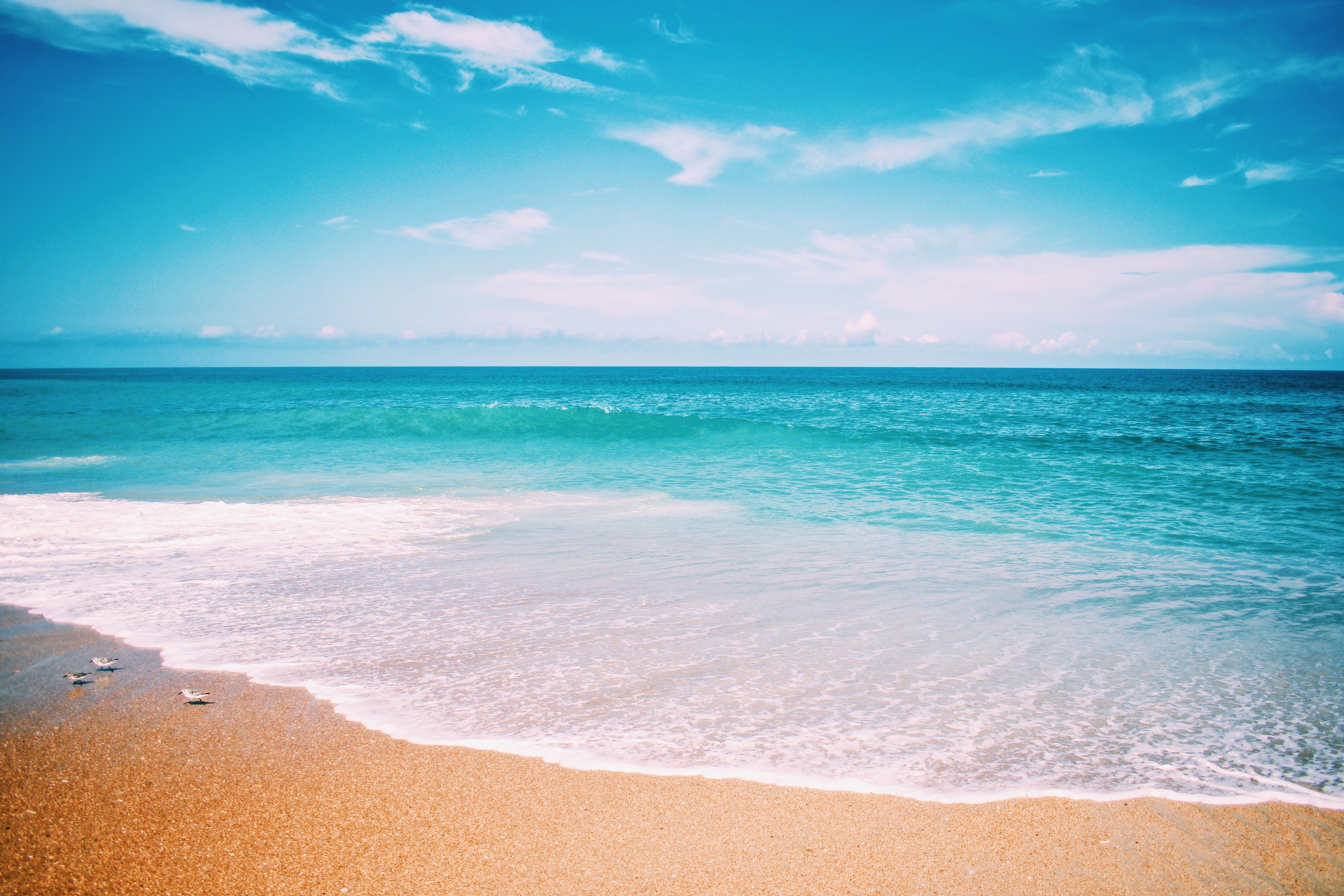 6000x4000 Beach Wallpaper Photo, Download The BEST Free Beach Wallpaper & HD Image