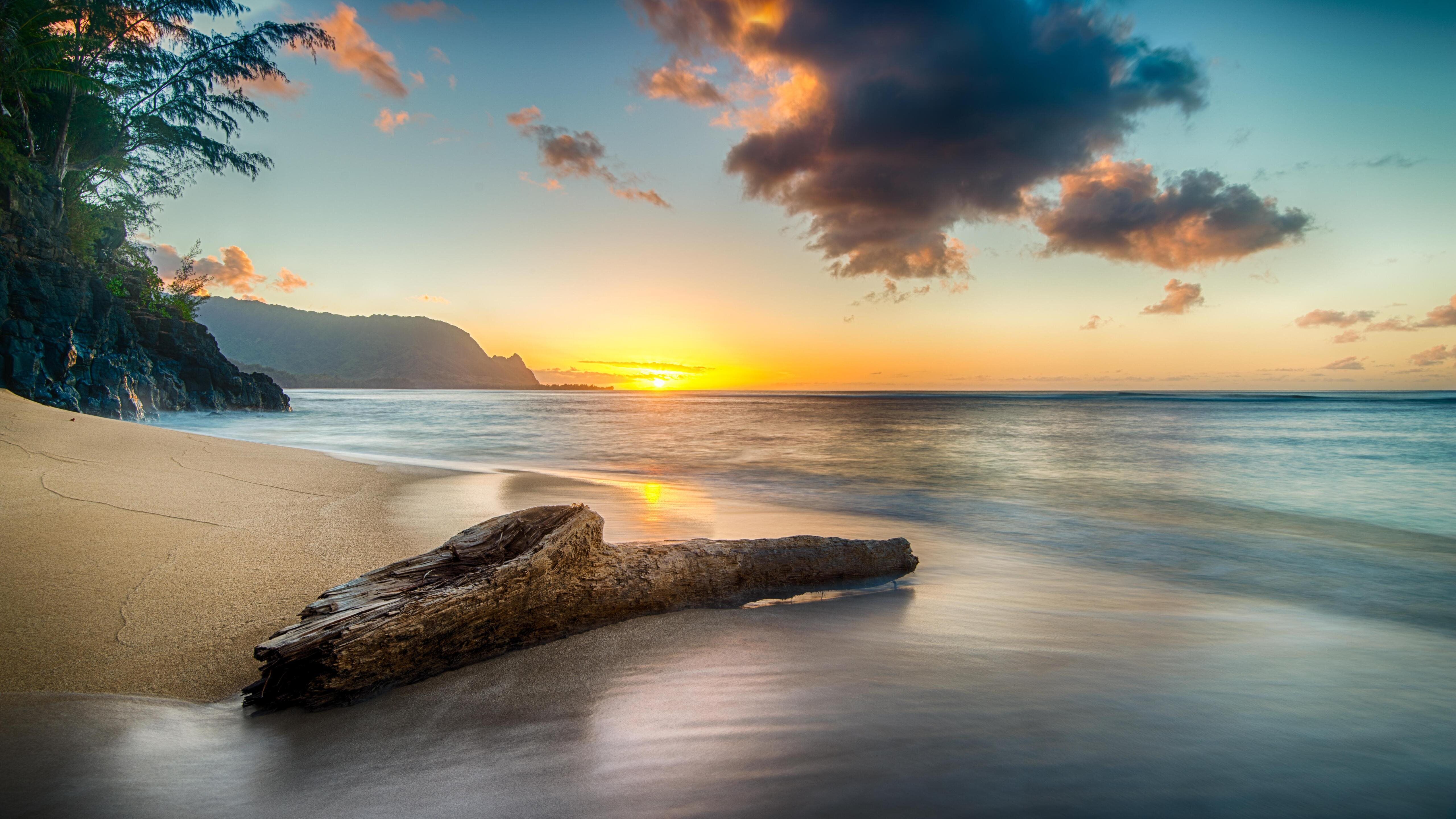 5120x2880 driftwood on beach at sunset on north shore of kau iMac Wallpaper Download
