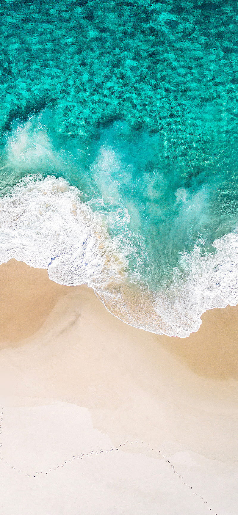 800x1732 Saifulwallpad, apple, beach iso, ocean, phone, sea, seashore, sky, tropical, HD phone wallpaper