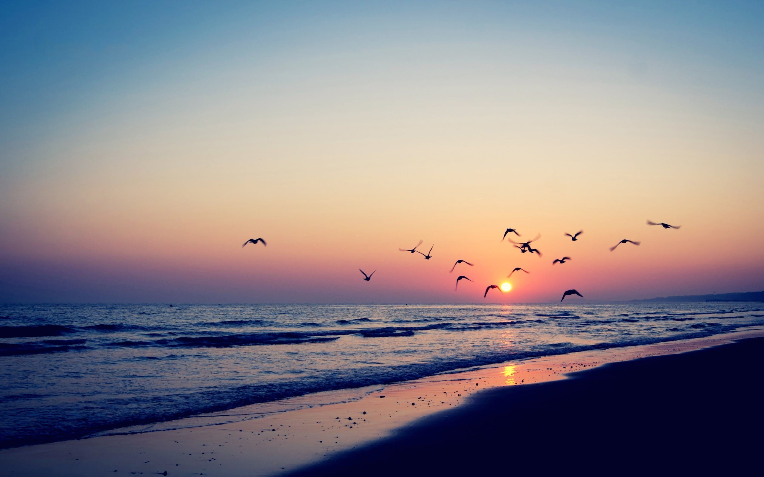 2560x1600 Seashore, beach, sunset HD wallpaper