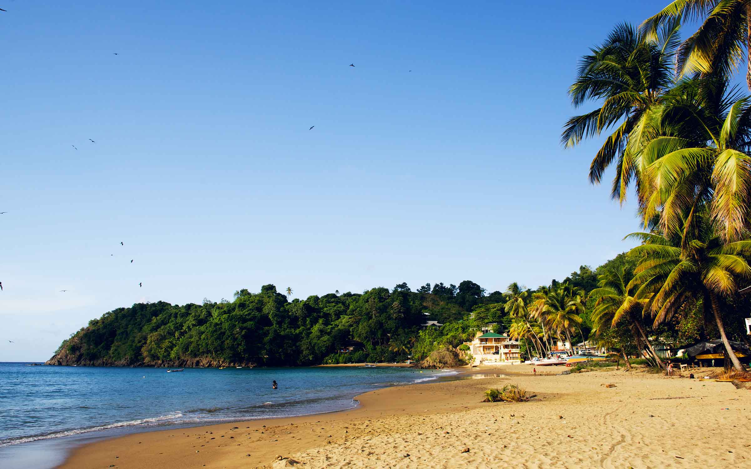 2400x1500 Caribbean Wallpaper Wednesday: The Uncommon Allure of Castara Beach