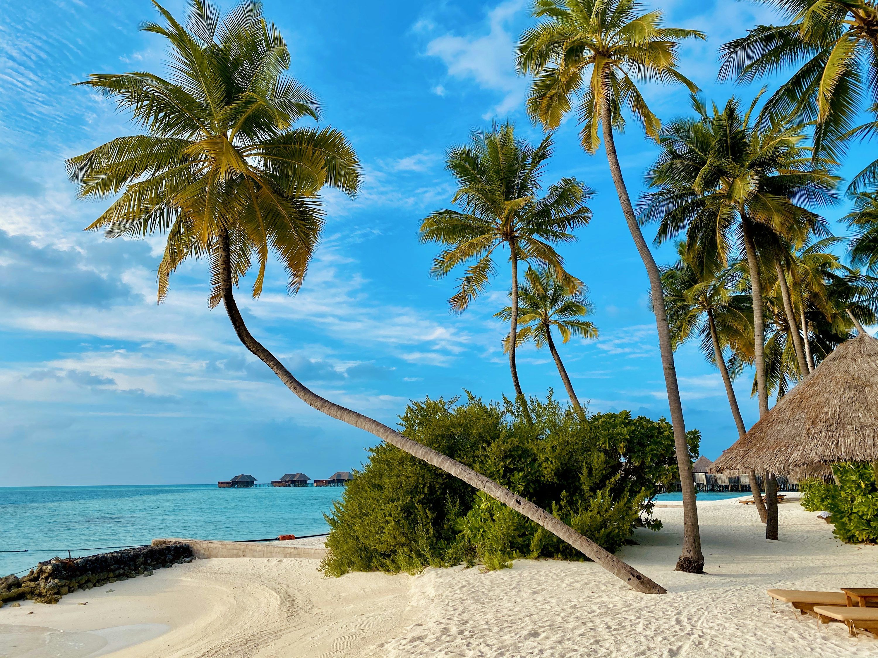 3000x2250 Island Beach Picture. Download Free Image