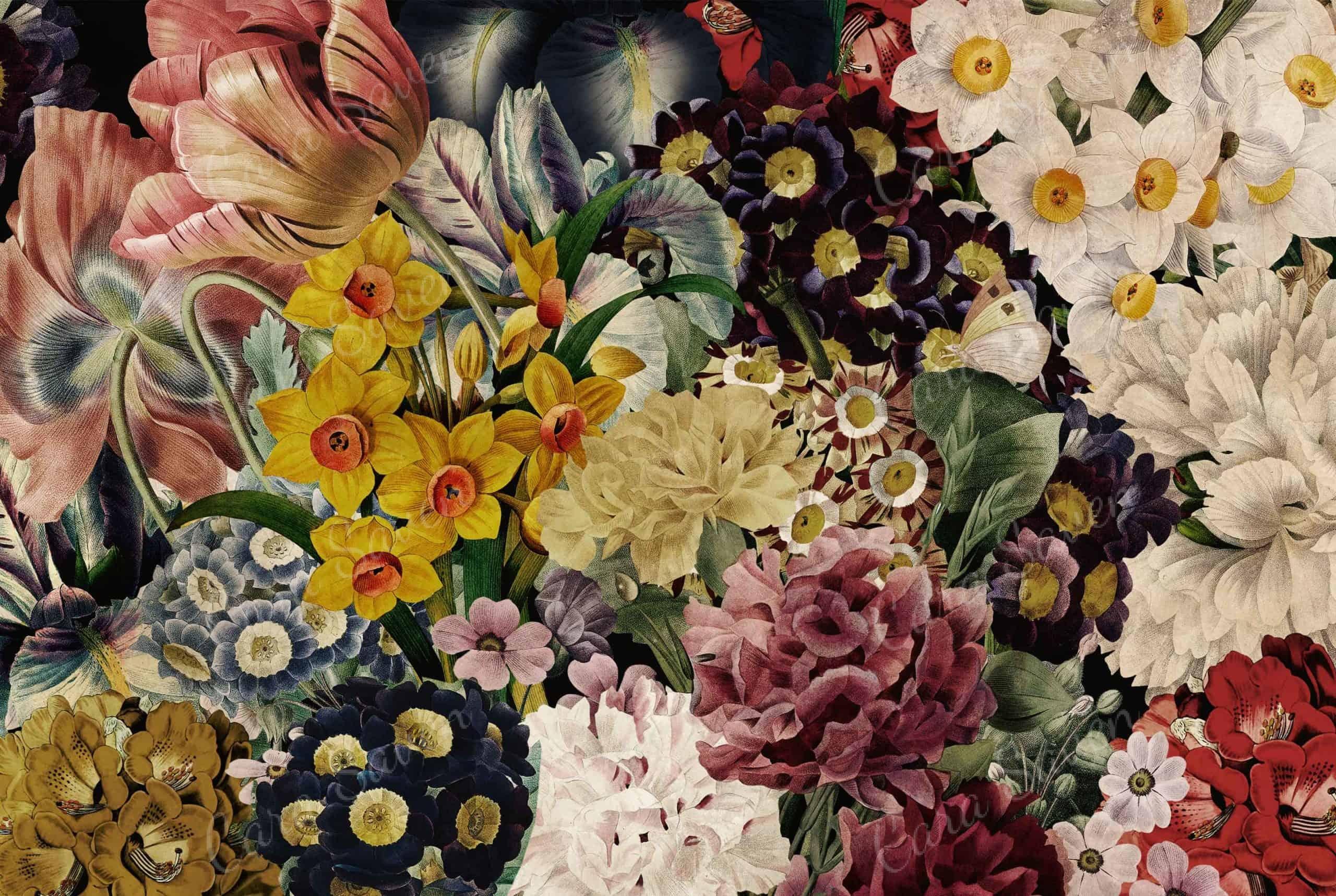 2560x1718 European Summer Floral Wallpaper. Cara Saven Wall Design