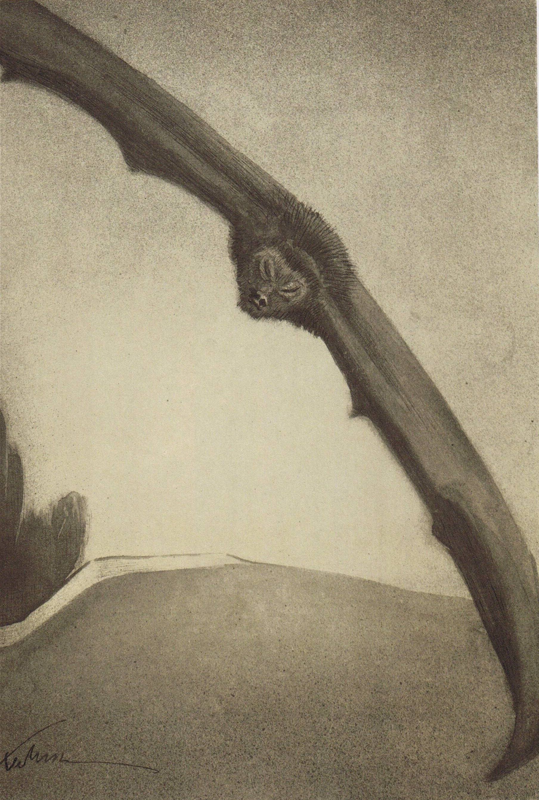 1808x2686 Alfred Kubin ideas. alfred kubin art, alfred kubin wallpaper, alfred kubin drawings