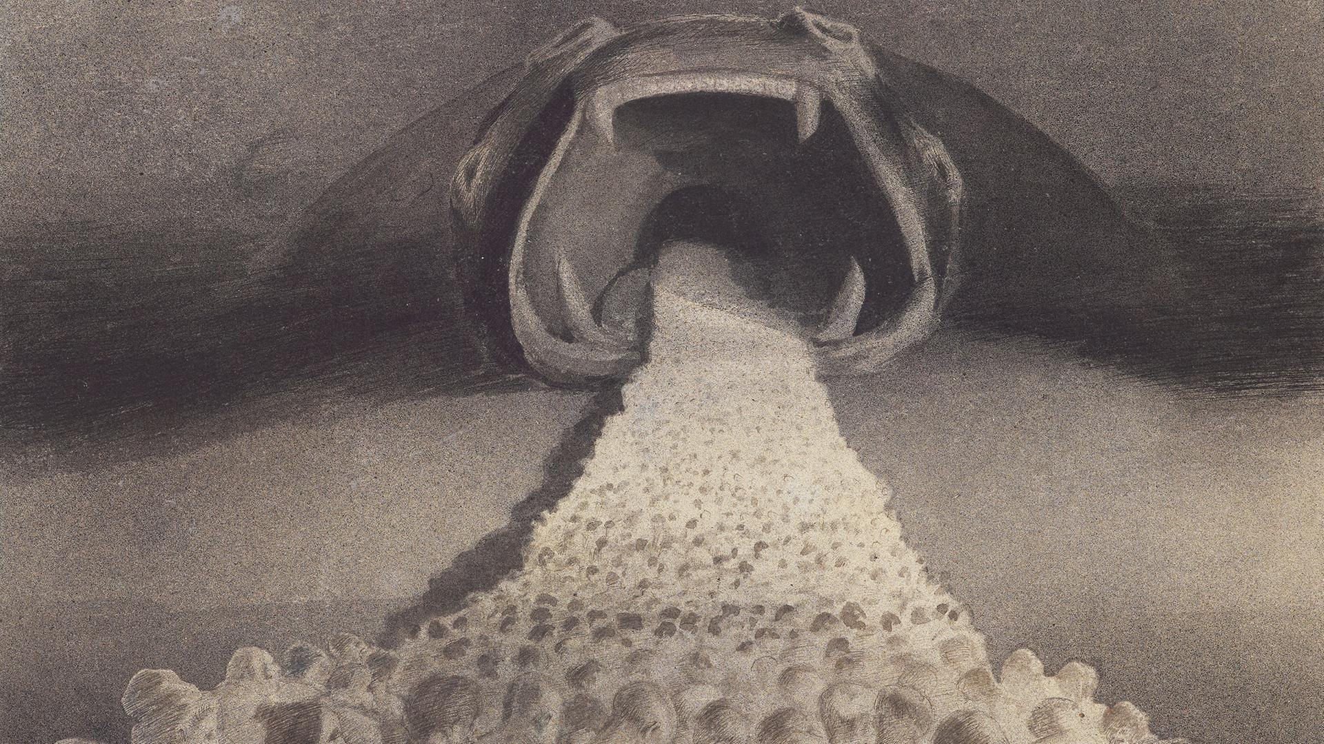 1920x1080 Alfred Kubin Ausstellung In Wien