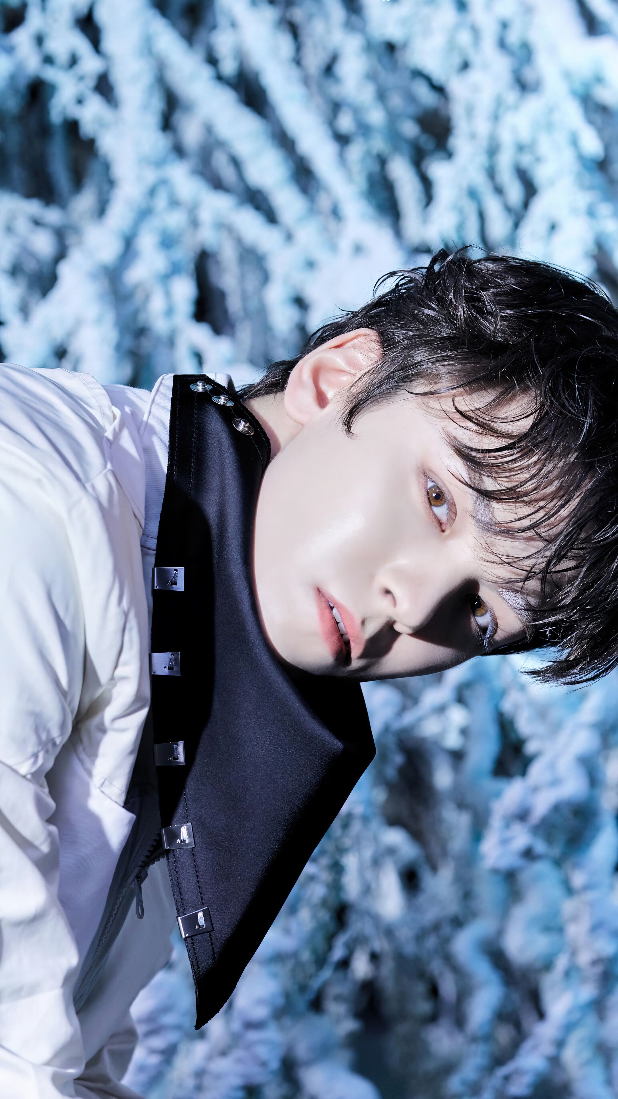 2160x3840 Vernon Seventeen Sector 17 4K Wallpaper iPhone HD Phone g