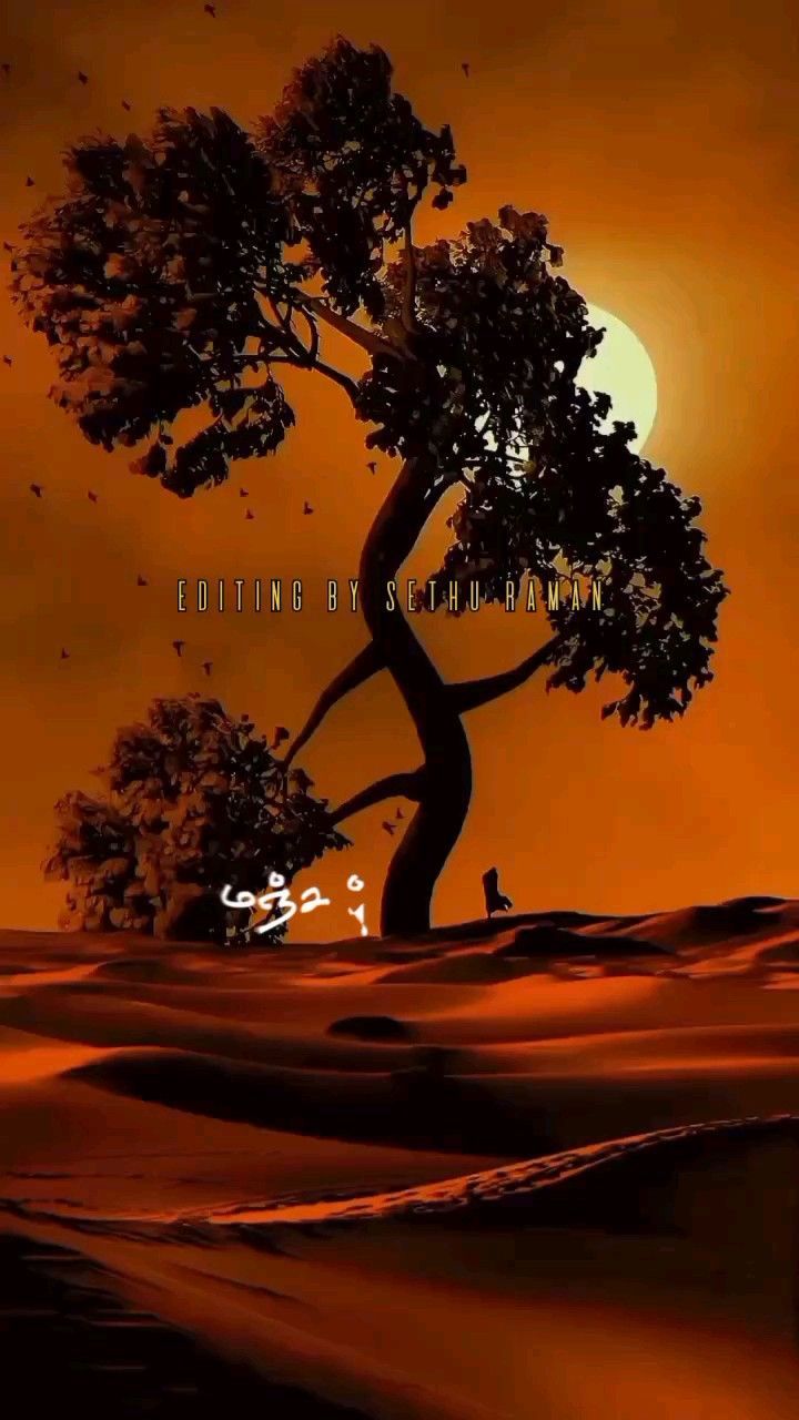 720x1280 vettaiyaadu vilaiyaadu songs whatsapp status#