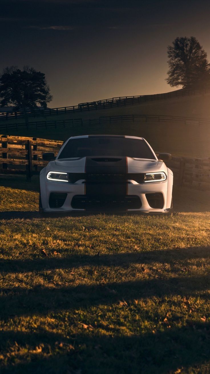 736x1308 Dodge Charger SRT Hellcat Widebody. Dodge charger widebody wallpaper, Charger background, Dodge charger hellcat widebody