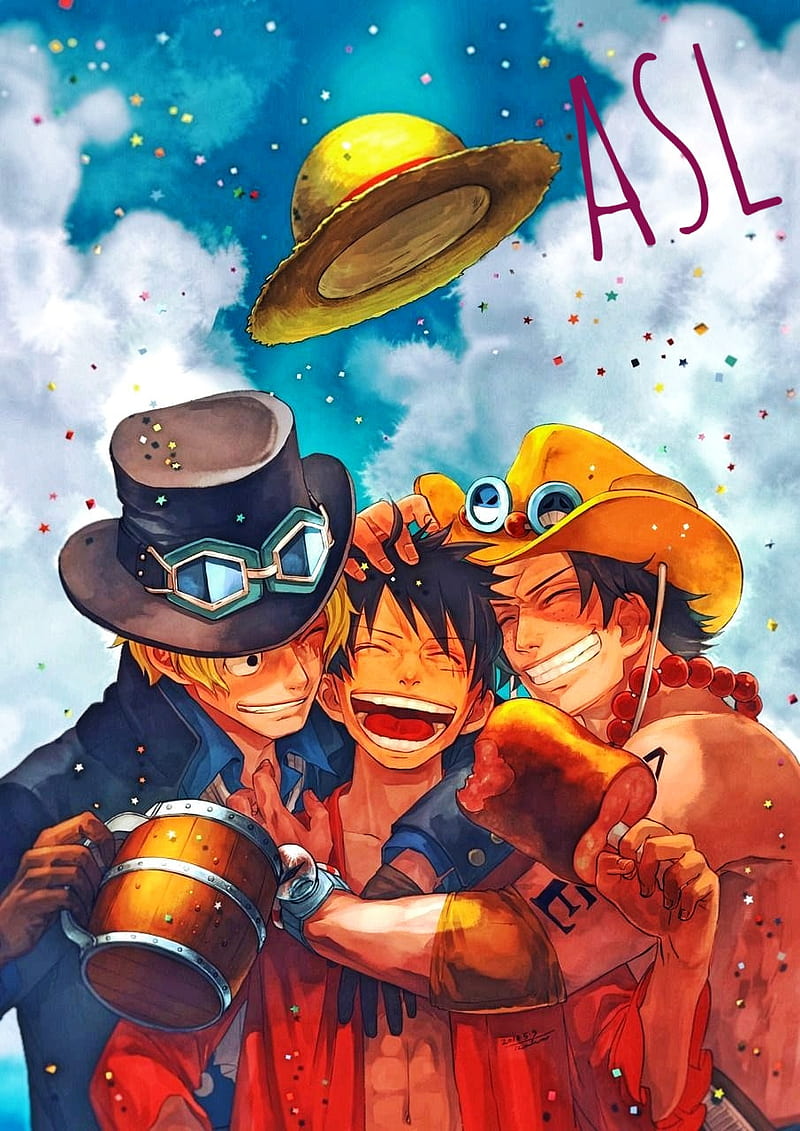 800x1131 One Piece Brothers, ace, anime, bros, brotherhood, love, luffy, one piece, sabo, HD phone wallpaper