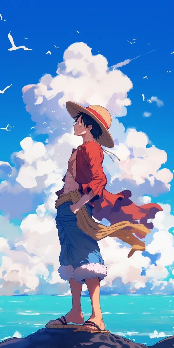 736x1472 one piece background 3