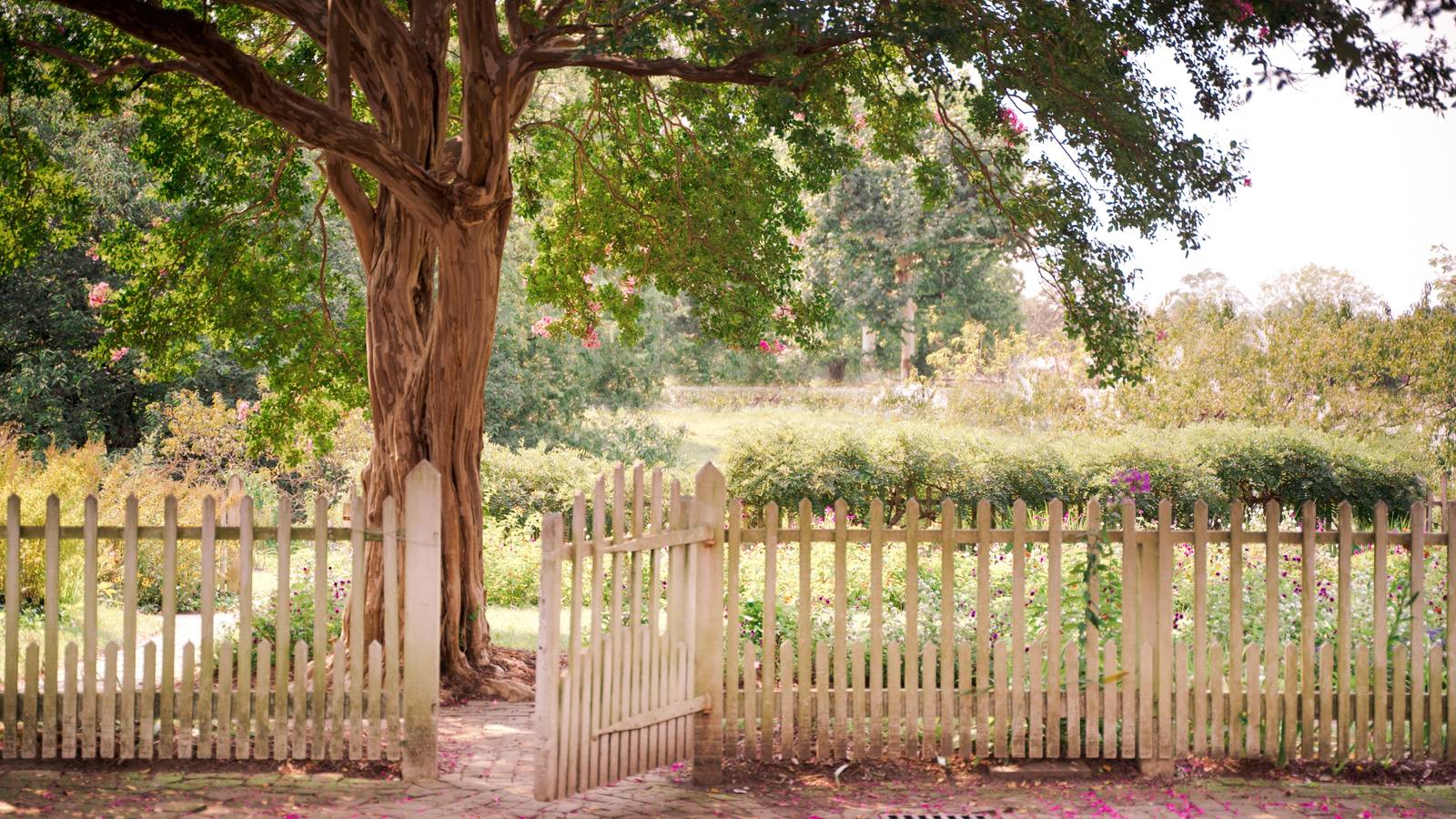 1600x900 Charming Picket Fence Ideas For Your Landscape
