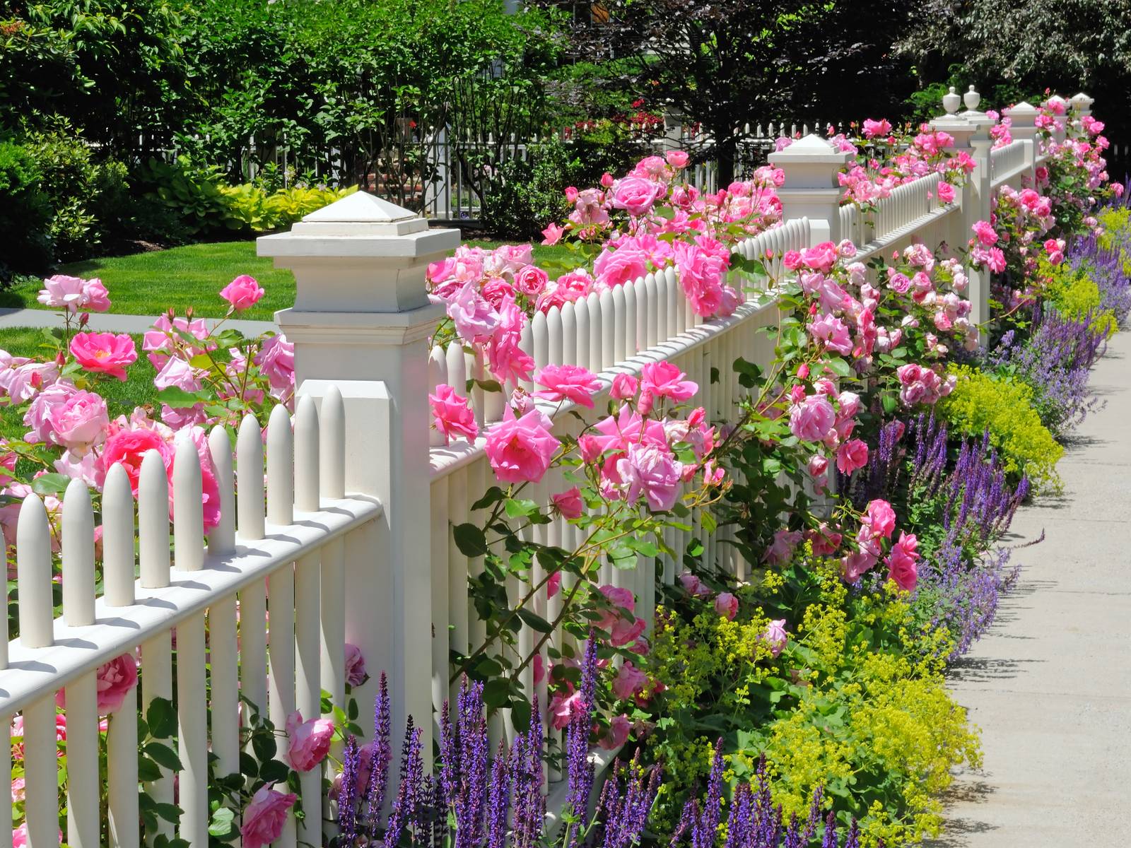 1600x1200 Beautiful Landscaping Ideas For Your Fence Line
