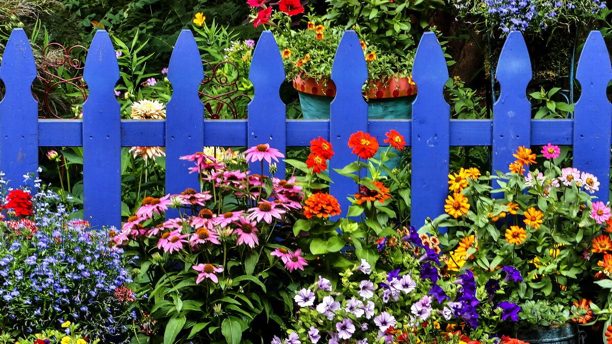 1200x675 Connecticut Garden Journal: Fences make good neighbors–and protect your plants