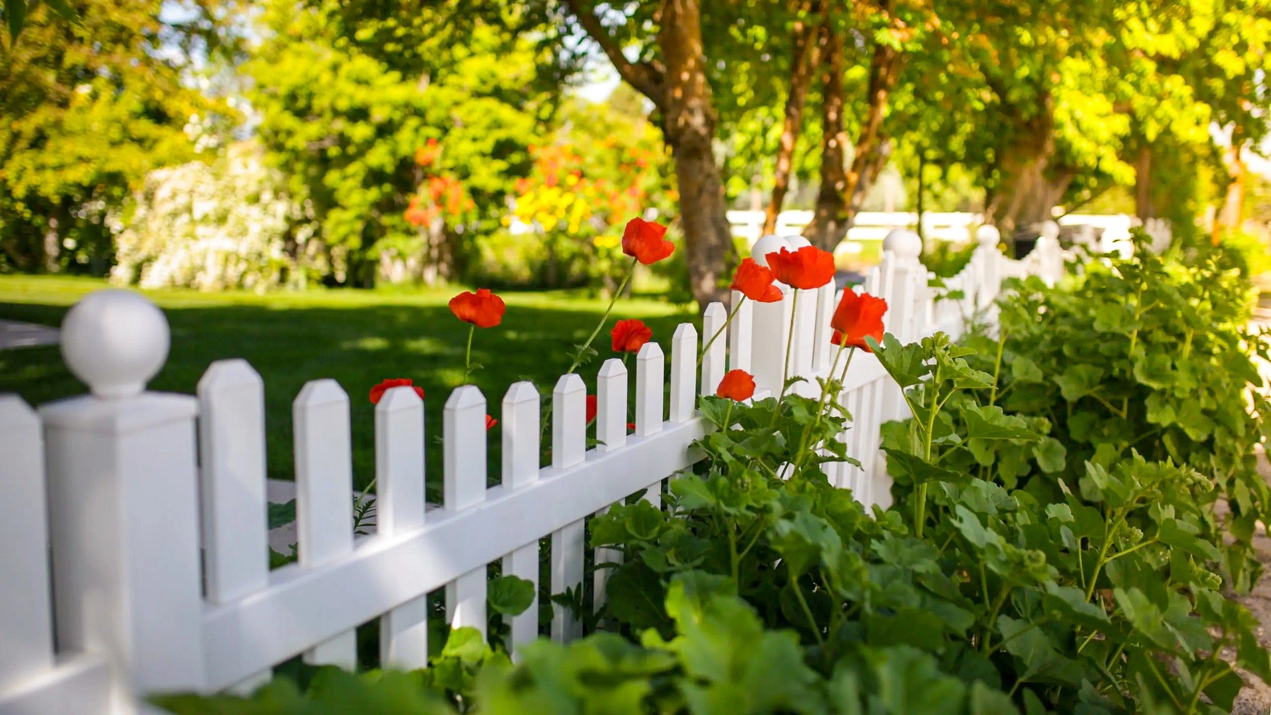 2560x1440 Weatherables Durable Vinyl Fencing Kits, Railing, and Accessories