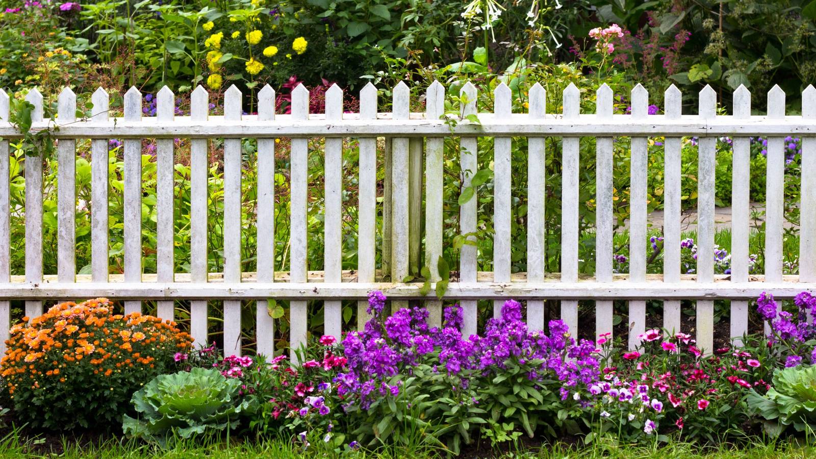 1600x900 How to Install a White Picket Fence for a Timeless Yard Look
